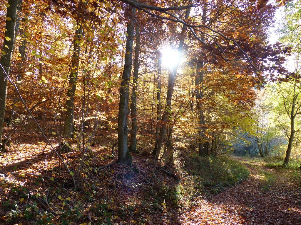 Ferienhaus Fischbachtal Heimbach Kültér fotó